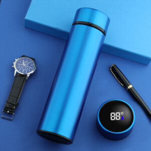 Stainless Steel Water Bottle with Temperature Indicator
