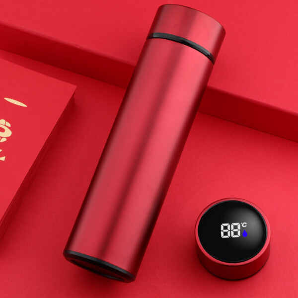 Stainless Steel Water Bottle with Temperature Indicator - Image 5