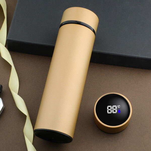 Stainless Steel Water Bottle with Temperature Indicator - Image 4